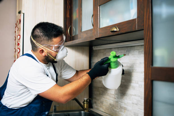 Best Exterminator Services  in Meade, KS