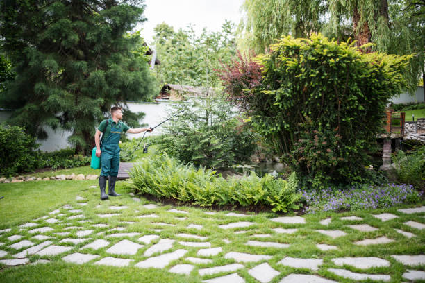 Best Local Pest Control Services  in Meade, KS