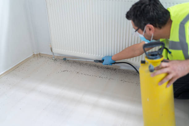 Best Residential Pest Control  in Meade, KS