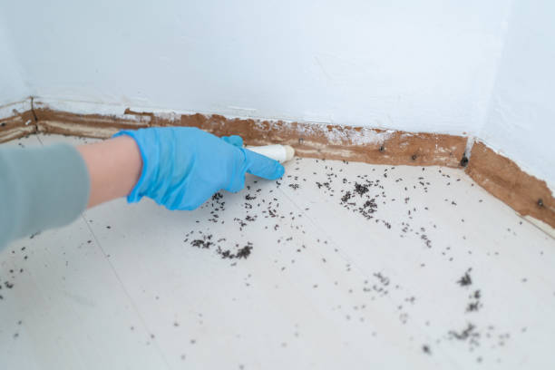Pest Prevention Services in Meade, KS